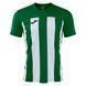 Футболка Joma INTER IV 105307SR.452-S фото
