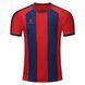 Дитяча футболка Kelme GRANADA 7451ZB3795.9615-110 фото