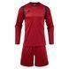Комплект воротарської форми Joma ZAMORA XI 105196SR.603-S фото