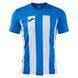 Футболка Joma INTER IV 105307SR.702-S фото