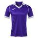 Дитяча футболка Joma VINTAGE 105073JR.552-6XS фото
