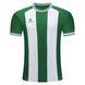 Дитяча футболка Kelme GRANADA 7451ZB3795.9311-120 фото