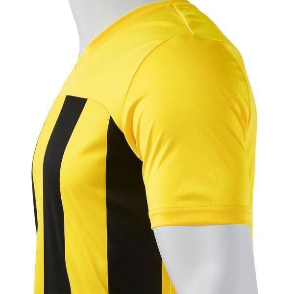 Футболка Joma INTER IV 105307SR.901-S фото